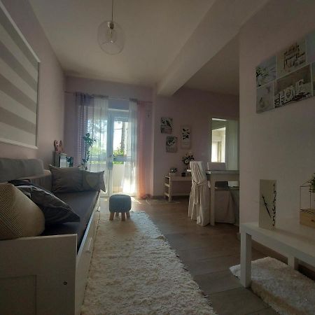La Pineta - Delightful Small Apartment Near The City Center Л'Аквіла Екстер'єр фото